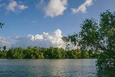 【锦标赛战况】高手云集，谁能问鼎年度冠军？，锦标赛视频