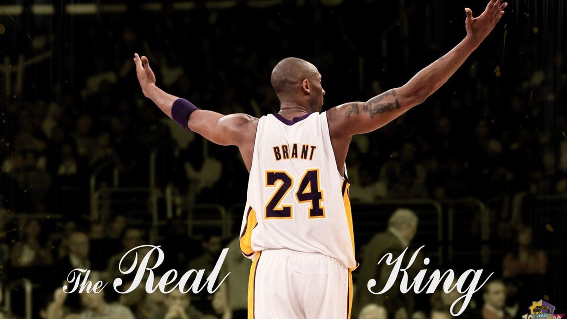 LPL夏季赛直播观看人数创新高，lpl夏季赛全程回放视频