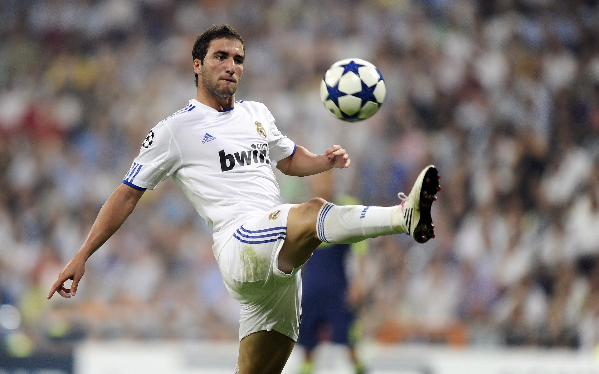 _世界青年网球论坛：未来运动发展的风向标_，网球近年发展趋势